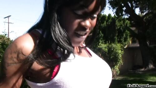 Transsexual Angel - Black Shemale Idol - The Auditions, Scene #03