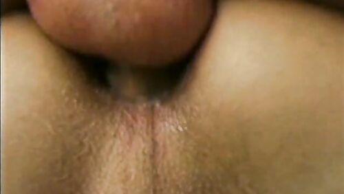 Transsexual Angel - Big Ass She-Male All-Stars 1
