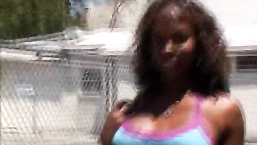Transsexual Angel - Big Ass She-Male Road Trip 11