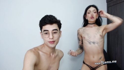Sexy Ts Babe Slurping Bf's Wand