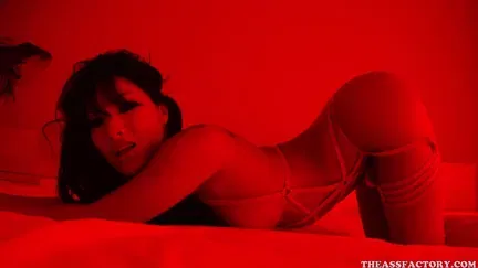 Asa Akira All Holes Get Drilled