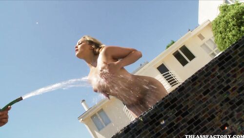 Alexis Texas Anal Creampie
