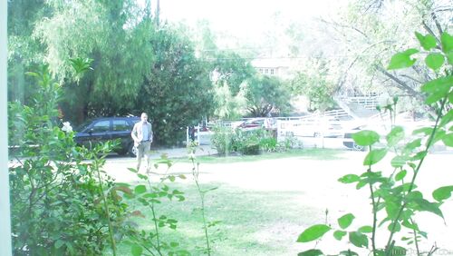 Megan Rain - Teen DP'd, Tell Me How My Ass Tastes!