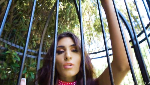 New Porn Starlet Dana Wolf Proves She Can Take Cock Like A Pro