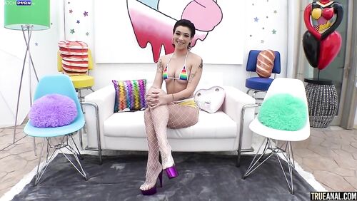 TRUEANAL - BROOKLYN GRAY 2