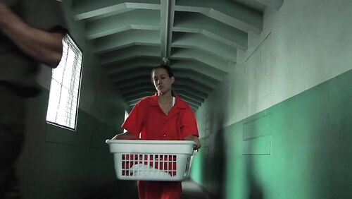 Alexis Texas, Steve Holmes  - Prison Girls #1