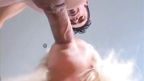 Holly Fox - Wild DP